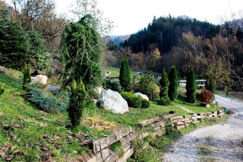 Miklavz pri Taboru Turisticna Kmetija Weiss 빌라 외부 사진
