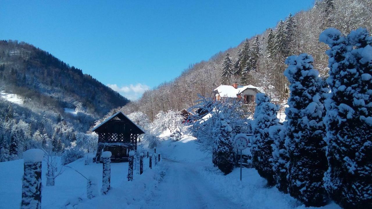 Miklavz pri Taboru Turisticna Kmetija Weiss 빌라 외부 사진